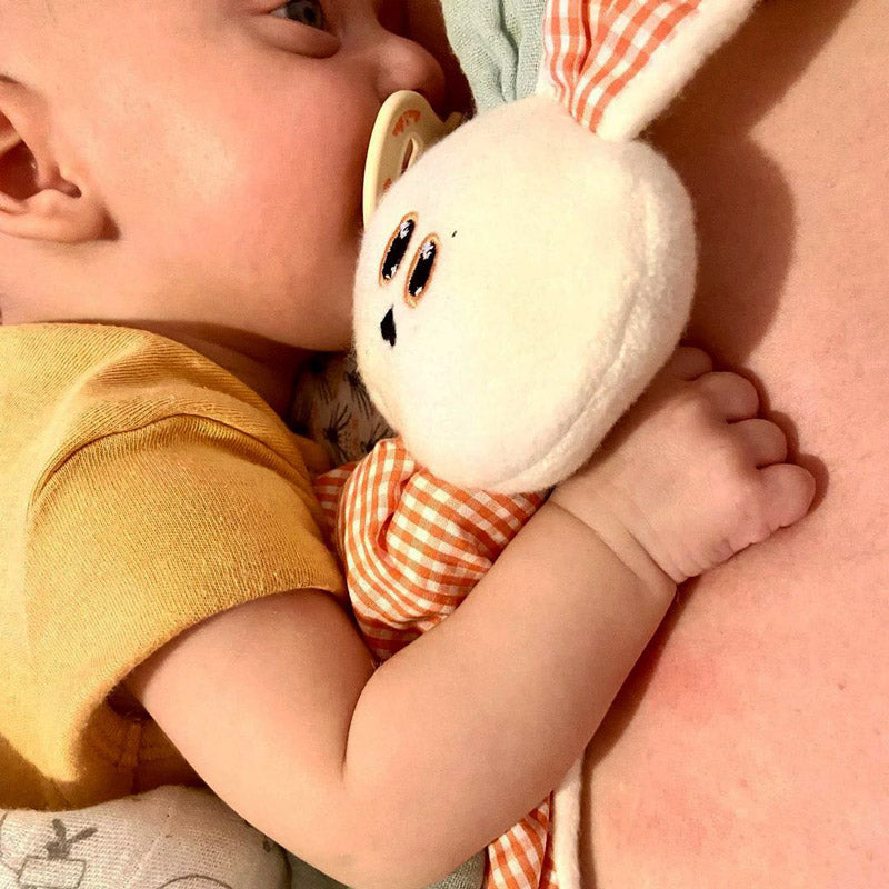 doudou en coton bio gus