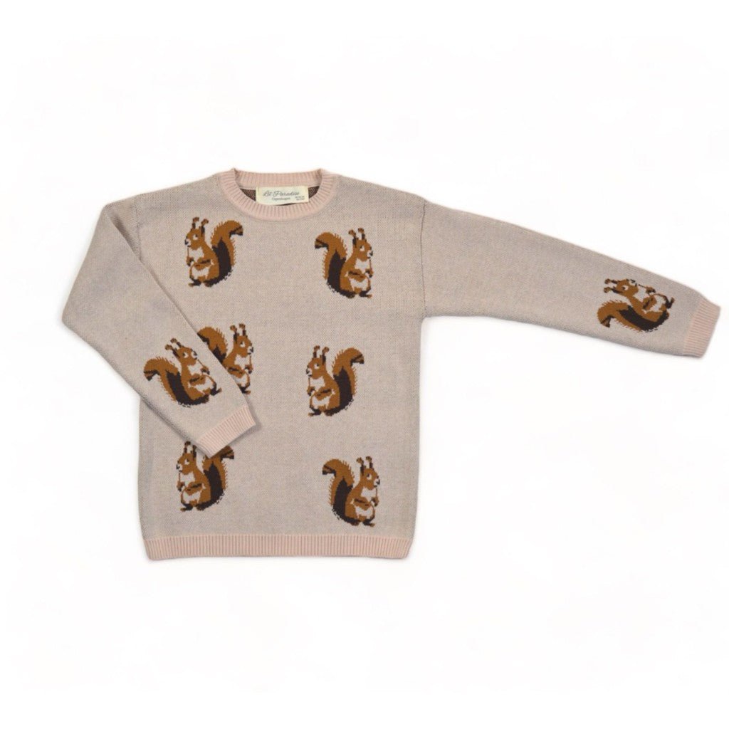 Squirrel knit sweater-2