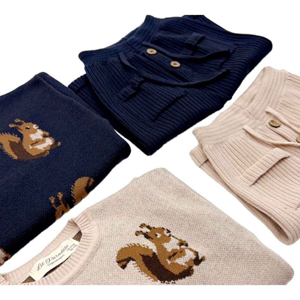 Squirrel knit sweater-3
