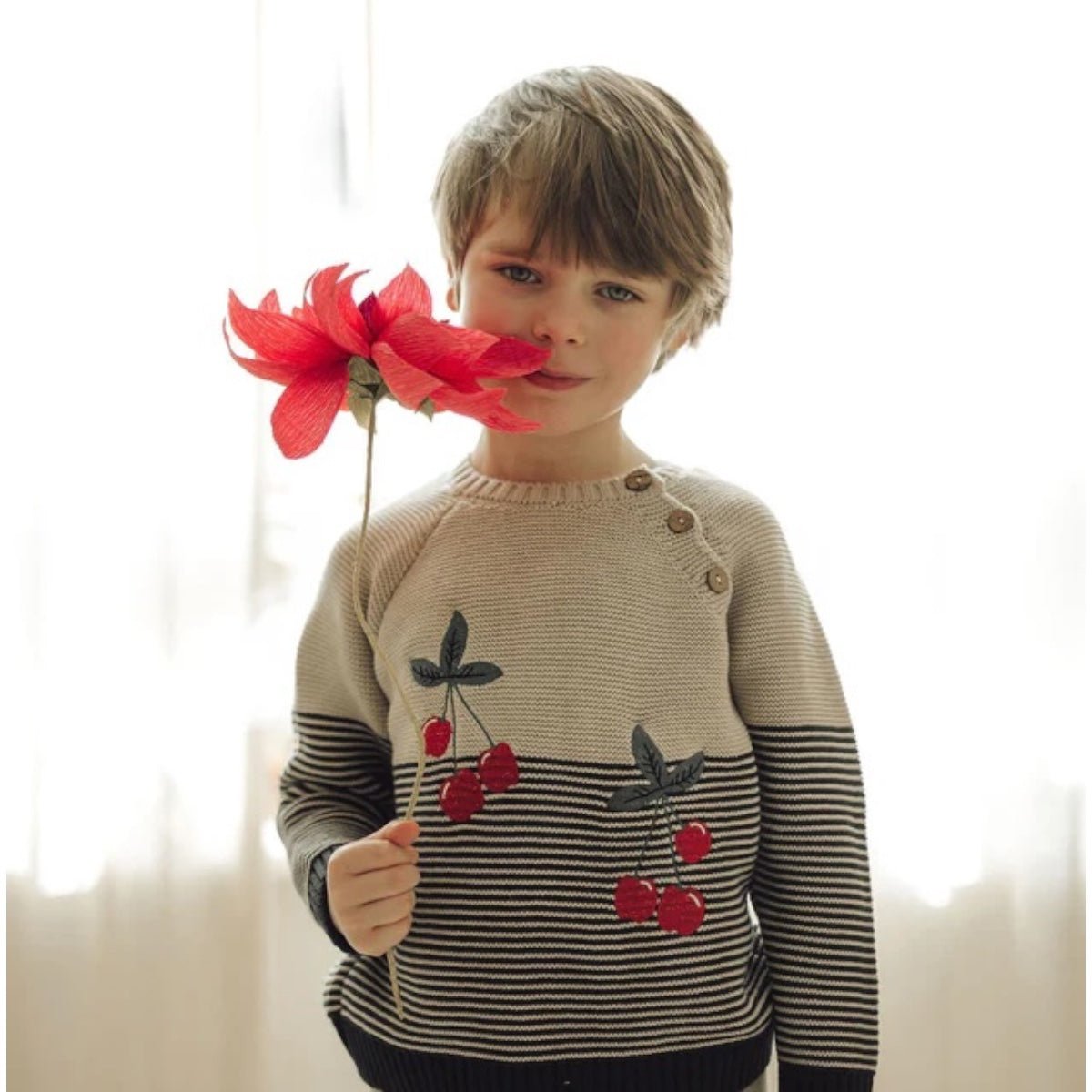 Striped Cherry Sweater-0